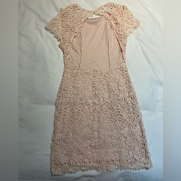 Hidden Talent Backless Blush Lace Dress - Picture 5 of 7